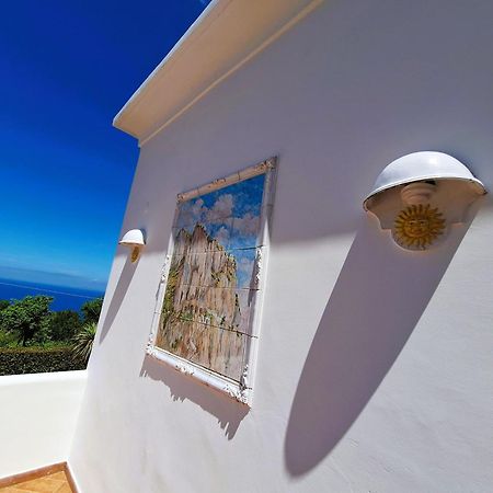 أناكابْري Villa Donna Carolina Capri المظهر الخارجي الصورة